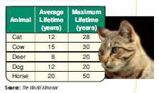 Algebra II: 2-1 Relations and Functions The table shows the average lifetime and maximum lifetime for some animals. This data can be written as.