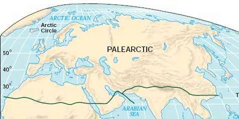 Palearctic Region Separated from rest of Eurasia by