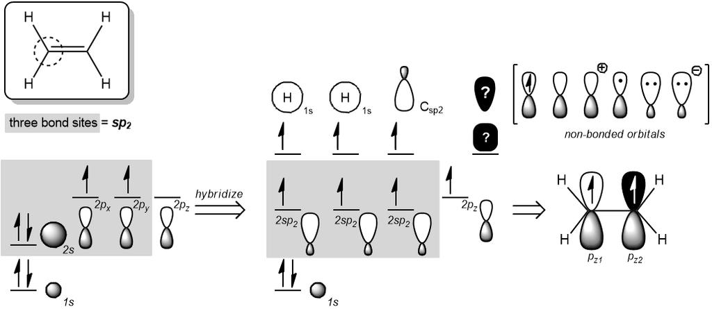 CONCEPT: BASICS OF MOLECULAR ORBITAL THEORY As previously discussed, non-bonding orbitals have the unique ability to conjugate with adjacent non-bonding orbitals.