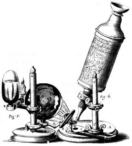 Section 3: Discovering Cells Discovery of Cells Timeline: 1590- first microscope invented 1663- Hooke s compound microscope w/ illumination observed cells in a thin slice of cork 1674- van