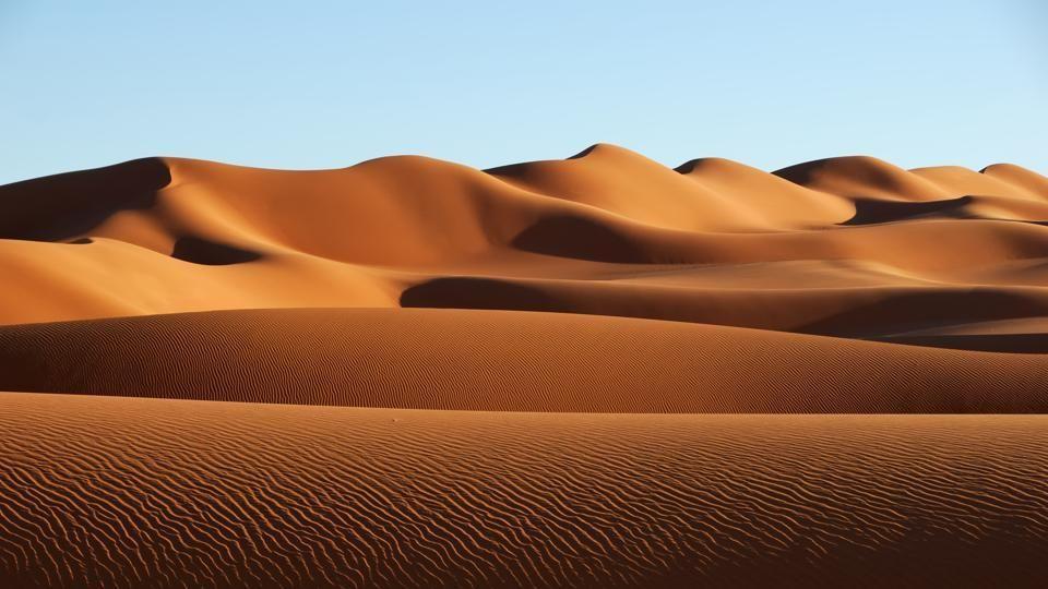 Desert Trades Trade winds carry dust from the Sahara across the Atlantic Ocean.