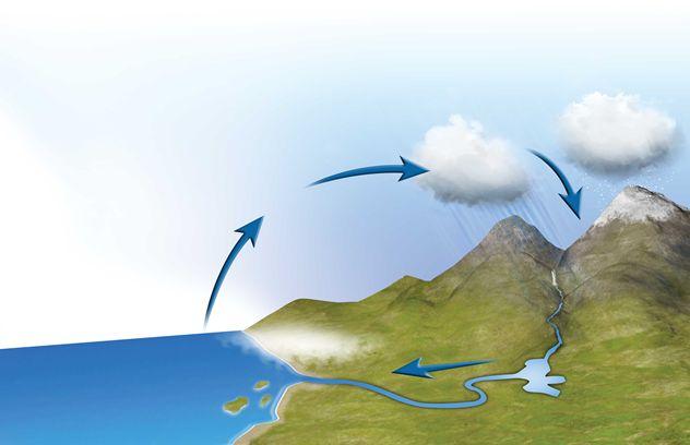 How does the water cycle affect weather?