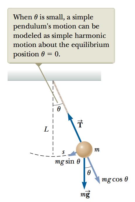 4 The Simple Pendulum A simple pendulum is an idealized model consisting of a point mass suspended by a massless and unstretchable string, as shown in the gure: In order to obtain the equation of
