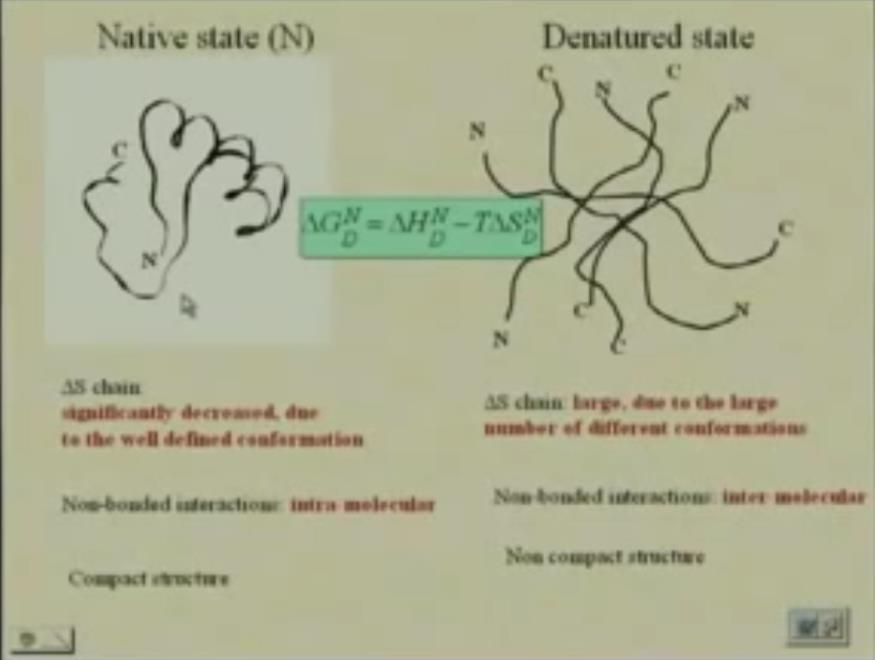 So, what do we have in the native state? We have a compact structure, intra molecular non bonded interactions and the entropy significantly decrease, because of the well-ordered conformation.