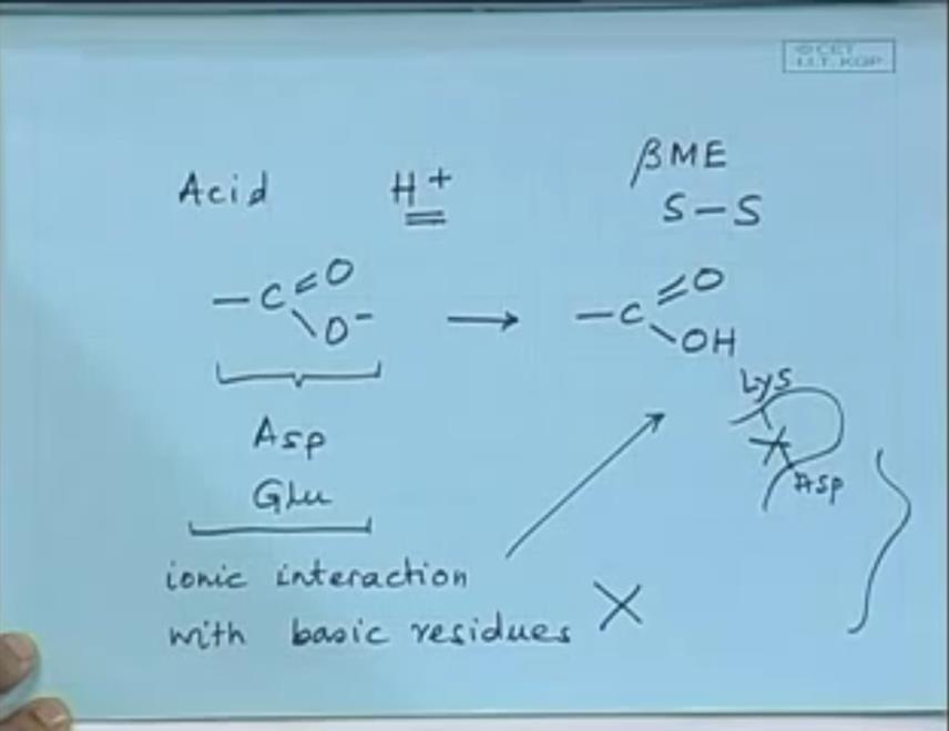 What were these interactions? They are hydrogen bonding, Vander wall s interaction and ionic interaction. What can we denature proteins by?