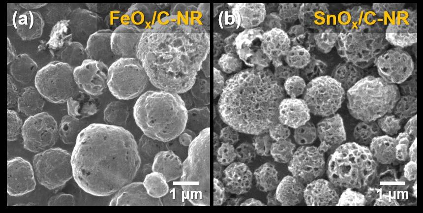 Fig. S15 SEM images of the