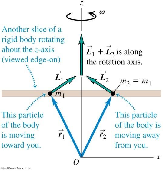 For a rigid body Take the rotation axis as the z axis, m 1 is a small mass of the rigid body L 1 = mv 1 r 1 = m ωr 1 sin θ 1 r 1 θ 1 If rotation axis is a symmetry axis, then there exist m 2 on the