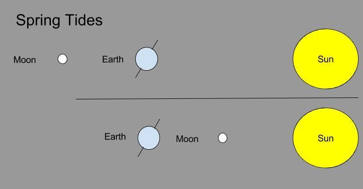 6) Draw a diagram that explains what causes a spring tide. Include the following terms in your drawing: Moon, earth, Sun.