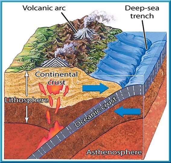 Convergent Plate Boundaries Where plates collide, they form convergent boundaries