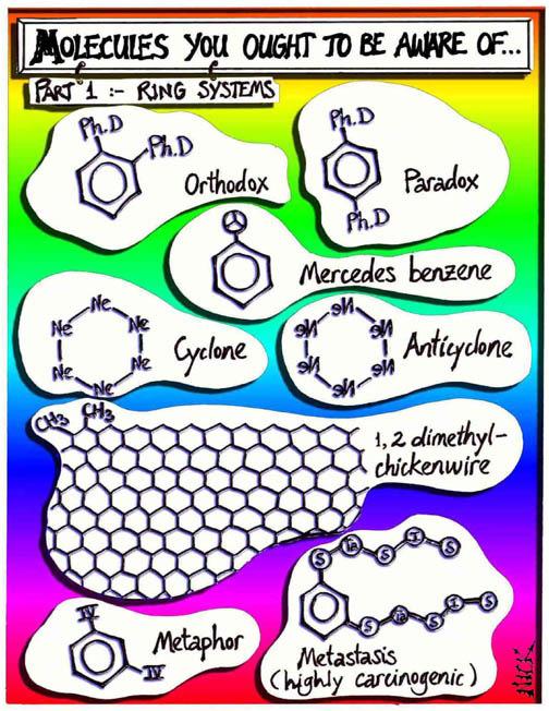 Diversity of Organic Molecules Structural Isomers Molecules differ in structural arrangement of atoms Geometric Isomers