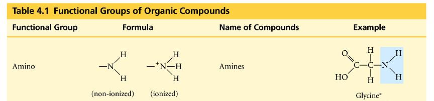 acts as base ammonia picks up H + from solution Carbonyl C=O O double bonded to C if C=O at end molecule = aldelhyde if