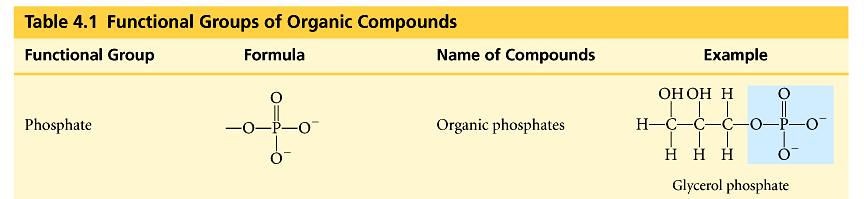 Phosphate PO 4 P bound to 4 O connects to C through an O PO 4 are anions with 2 negative charges one function of PO 4 is to transfer energy between organic molecules (ATP) Polymers Long molecules
