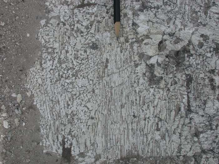 Igneous Rocks Figure 16. Graphic granite. This particular texture of gray quartz intergrown with white feldspar is known as "graphic" texture.