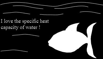This means that water has a high specific heat and resists change in temperature Large bodies of
