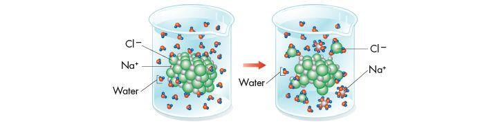 Water as a Solvent All the components of a solution are evenly distributed throughout the solution.