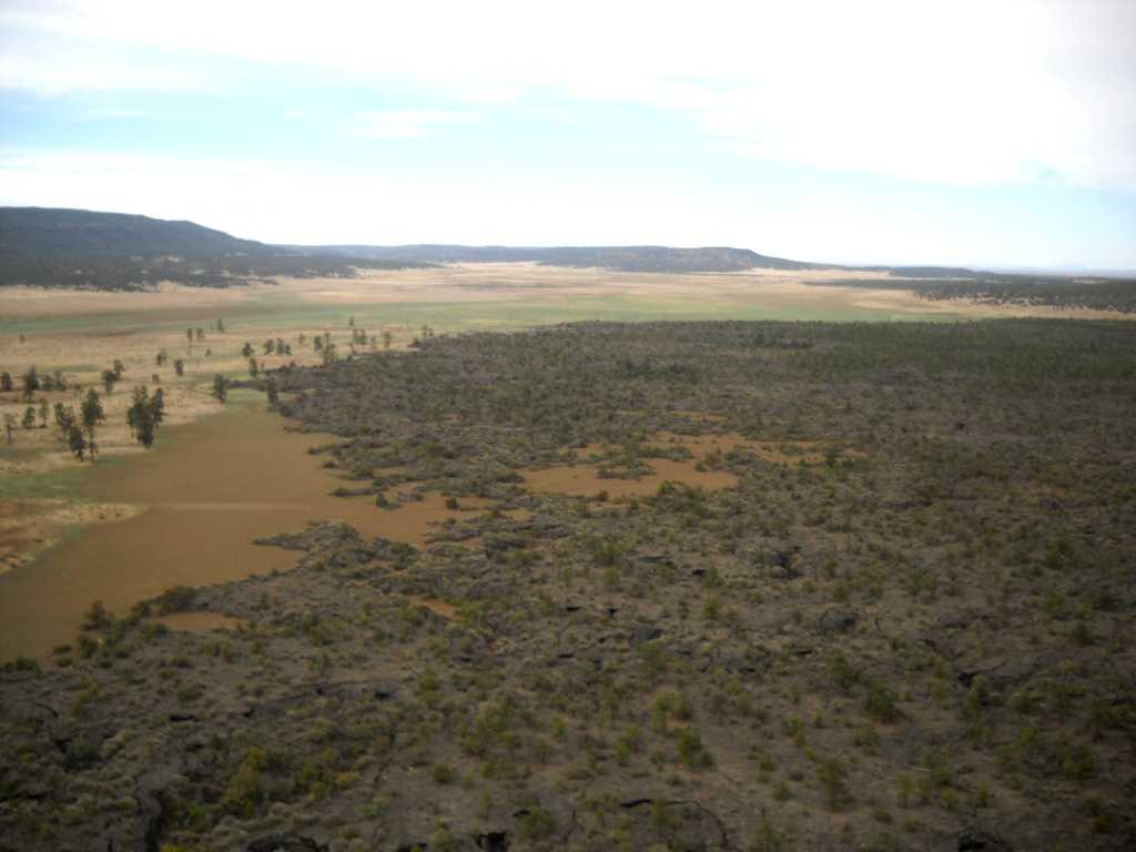 Further south was wide green valley with a stand of tall ponderosa