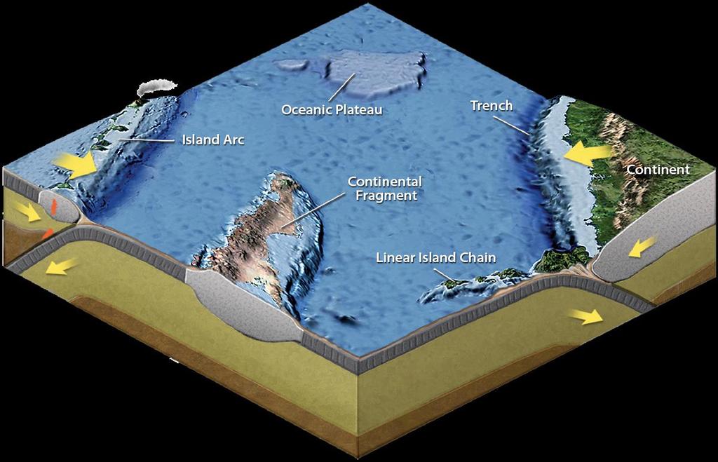 Common settings for the origin of terranes Island arc Piece of seafloor Oceanic island or plateau (hot spot) Piece of