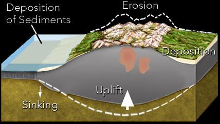 rebound sediment depresses crust in adjacent basins,
