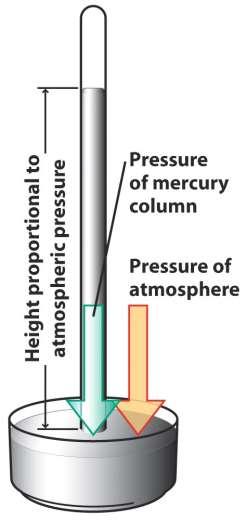 Pressure 5 A barometer is used to measure the pressure of the atmosphere. The pressure of the atmosphere is balanced by the pressure exerted by the column of mercury.