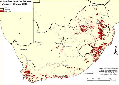 P A G E 17 P A G E 17 45 35 3 Active fire pixels detected from 1 January - 3 June 17 Figure 33: The graph shows the total number of active fires detected from 1 January - 3 June 17 per province.