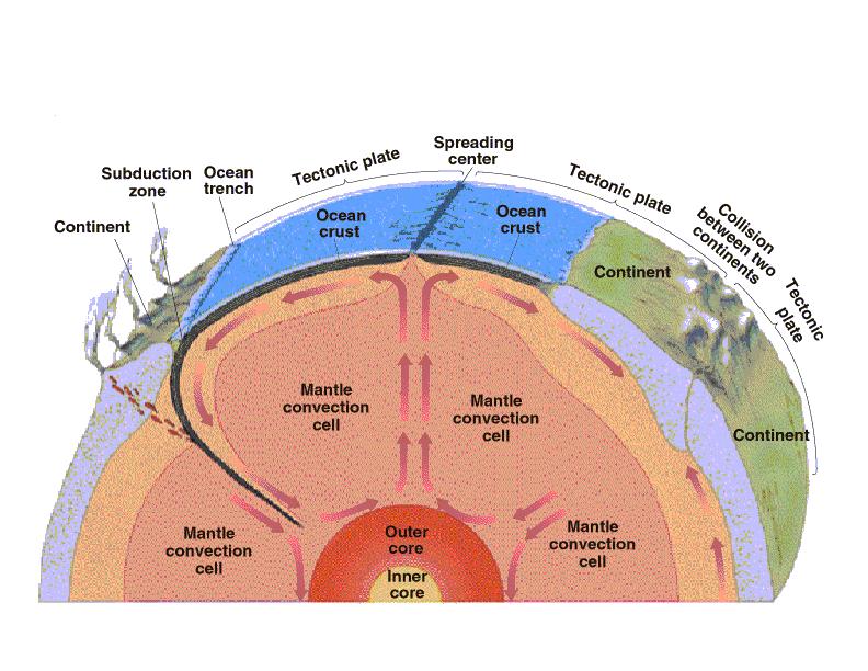 Plate Tectonics Huge convection currents carry heat from the core through the