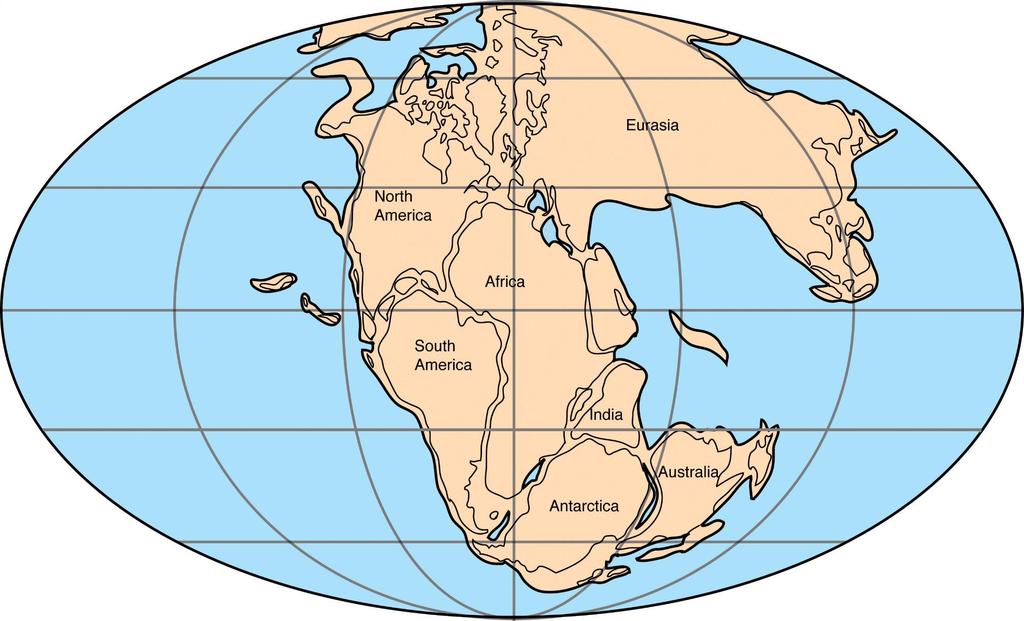 If you study a world map, you ll notice that some of the continents fit together.