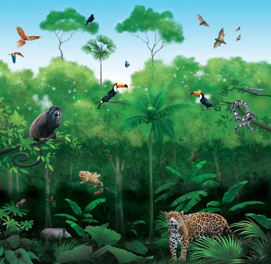 Tropical Rain Forest Tropical rain forests are located near Earth s equator. This biome is warm throughout the year. It also receives more rain than any other biome on Earth.