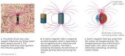 Planetary Magnetic Fields: Geology of the Earth If a planet has a liquid convecting metallic core and