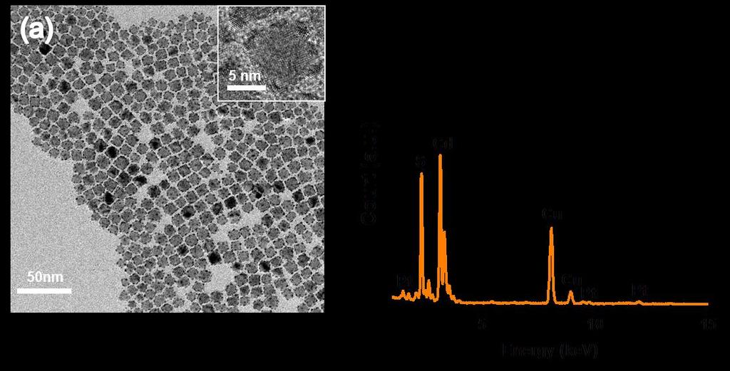 Red balls present the gold particles. 0  (a) TEM image of Pt-CdS and (b)eds spectrum of Pt-CdS.