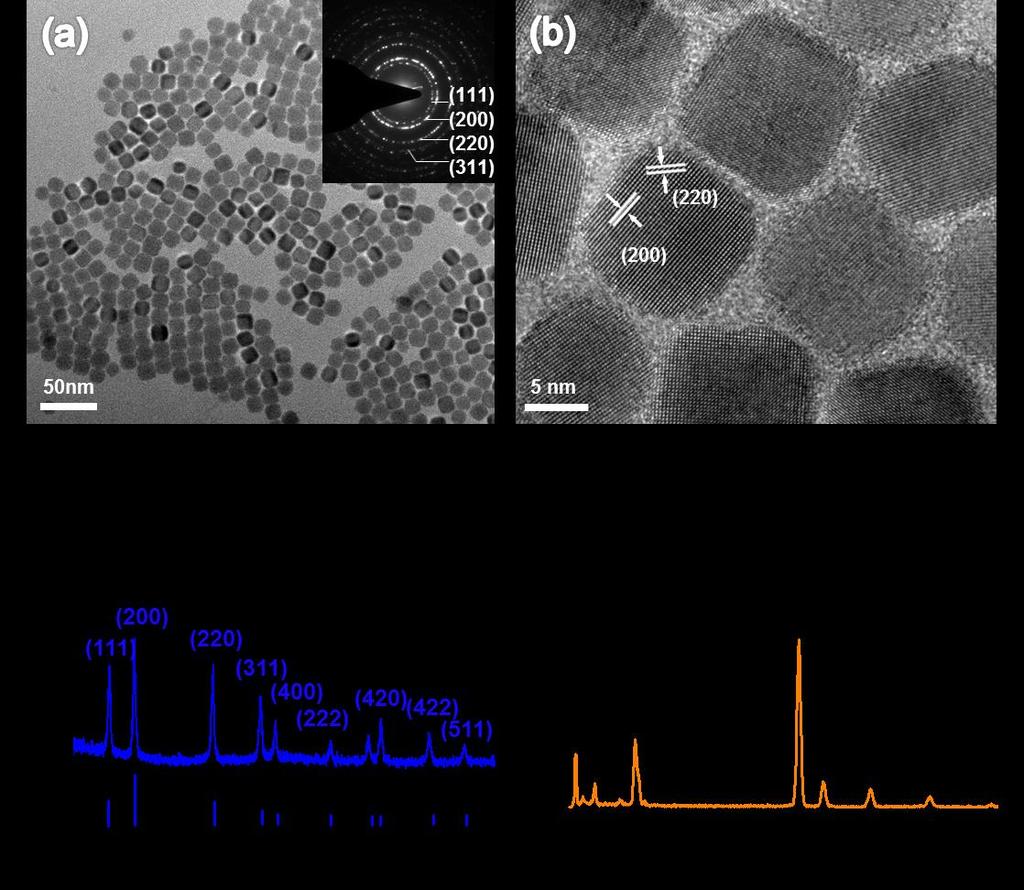 0 METHODS Synthesis of PbS nanocubes (NCs). The synthesis of nm-sizedpbs NCs was carried out via a hot-injection method. 0.