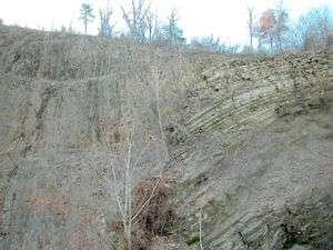 Major fault at the dividing line between the Allegheny Plateau and the true Appalachian Mountains,