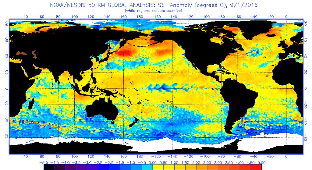 Figure 4 Global sea surface temperatures ( C) for the period ending September 1, 2016 (image from NOAA/NESDIS).
