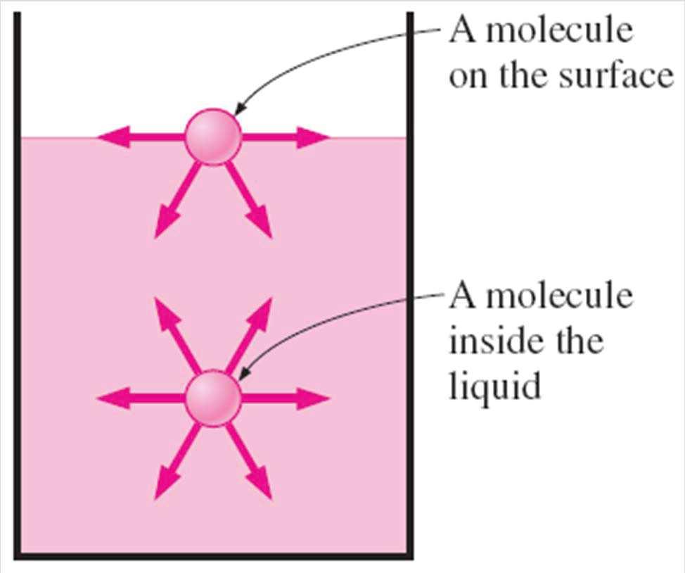 Attractive forces acting on a liquid molecule at the