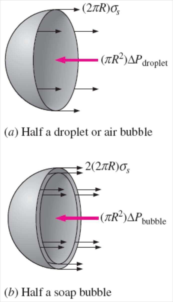 The free-body diagram of half a droplet