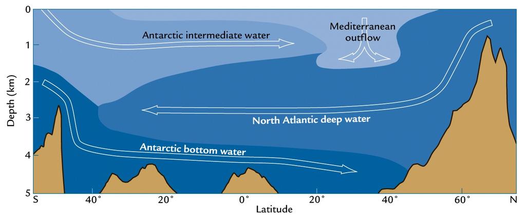 Deep Atlantic Water Masses Deep Atlantic water comes from high latitude