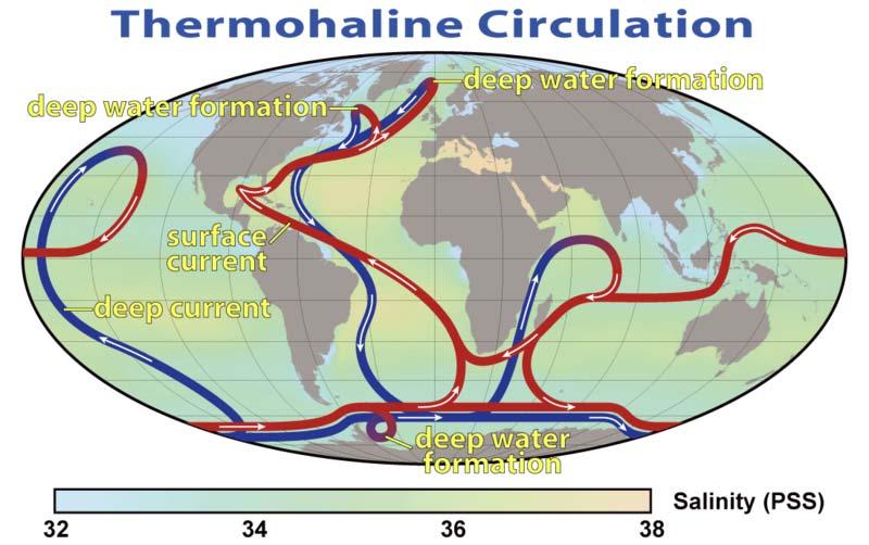 Thermohaline circulation: Other Names Blue :deep-water currents Red: represent surface currents