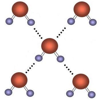 Part 2: Properties of Water and ph Draw structure of five water molecules O and H atoms do not share