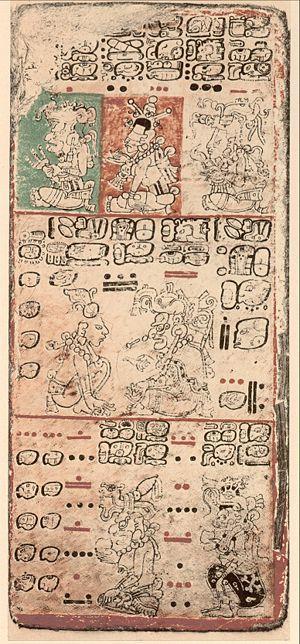 MAYAN BOOKS Just as with modern books, paper was the most common material out of which codices (books) were made.