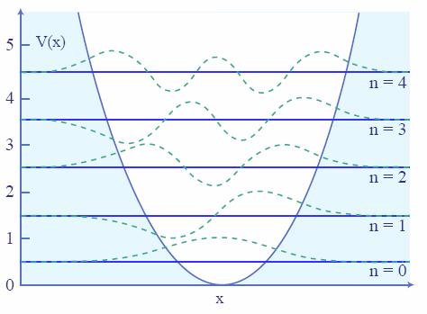 Solutions for the Harmonic Oscillator The harmonic oscillator provides a simple example of energy quantization: a diatomic molecule