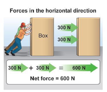 The net force in the horizontal direction The term net force is used to describe the