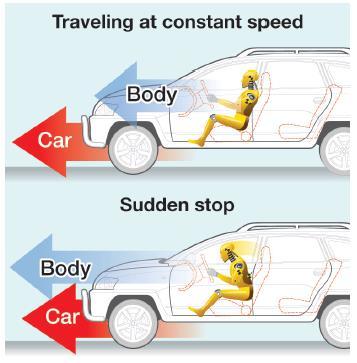 Applications of Newton s First Law Two very important safety features of automobiles are designed with Newton s first