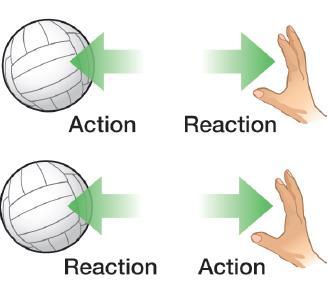 Newton's Third Law Newton s third law states that for every action force there has to be a reaction force that is