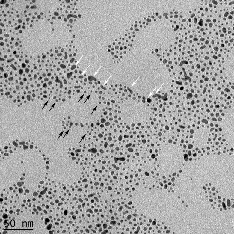 Supporting Data Fig. S1 TEM image of Au seeds (~3 nm). Due to their small sizes, the Au seeds tend to aggregate during deposition on TEM grids.