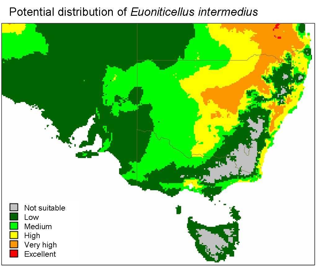 The potential distribution of E. intermedius in African distribution of the species. The model included four temperature and rainfall parameters (10, 11, 18, 19).