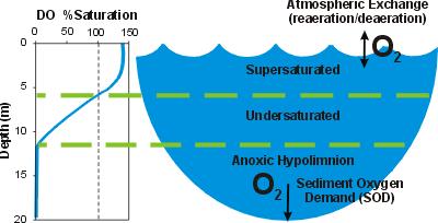 Dissolved oxygen dissolved oxygen is very important in the distribution of organisms.