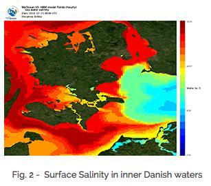 The Baltic Sea forecasts of the Copernicus Service were used to obtain salinity measurements in the relevant waters.