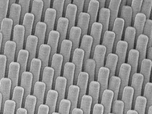 , (c) Scanning electron microscope (SEM) images of geometry II: post-like fibrils: silicon master with ion-etched holes used to mould PDMS; (c) resulting fibrillar PDMS structure.