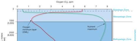 Dissolved Oxygen with Depth Dissolved