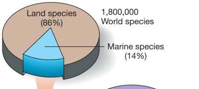 Classification of Marine