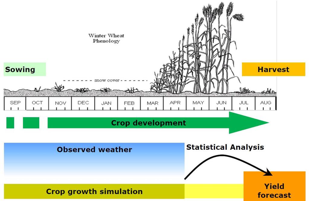Seasonal forecast for agriculture: on-going developments Testing seasonal forecast for MARS: BSC and JRC are exploring how the MARS Crop Yield Forecasting